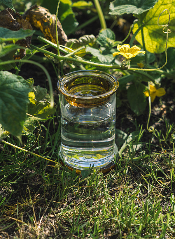 jungla-bogusz-jagiello-1